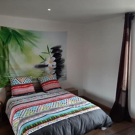 Apartament T3 Hyper-Centre Au Calme Tout Equipe Parking Prive Castres  Zewnętrze zdjęcie